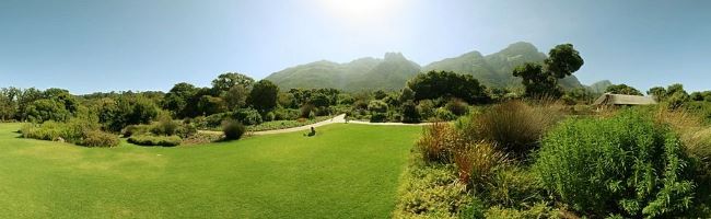 panorama of Kirstenbosch botanical garden