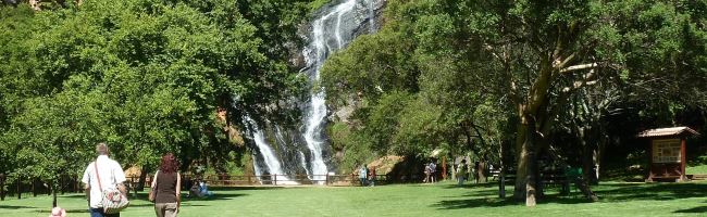 waterfall at Sisulu Botanical Garden